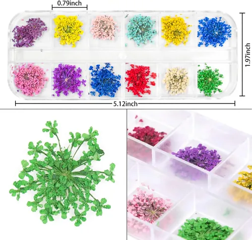 Vista 2 de 2 cajas de flores secas para uñas, mini flores de uñas reales 3D, flores secas, calcomanías de uñas, decoración de uñas, decoración de manicura