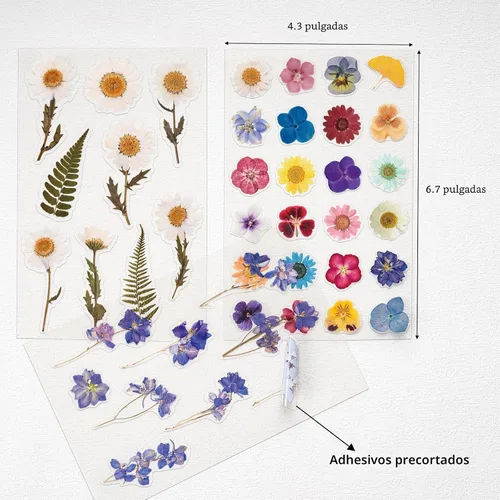 Vista 3 de Knaid Calcomanías temáticas de flores prensadas (surtido de 486 piezas, 36 hojas), calcomanías de resina floral secas, calcomanías de diario