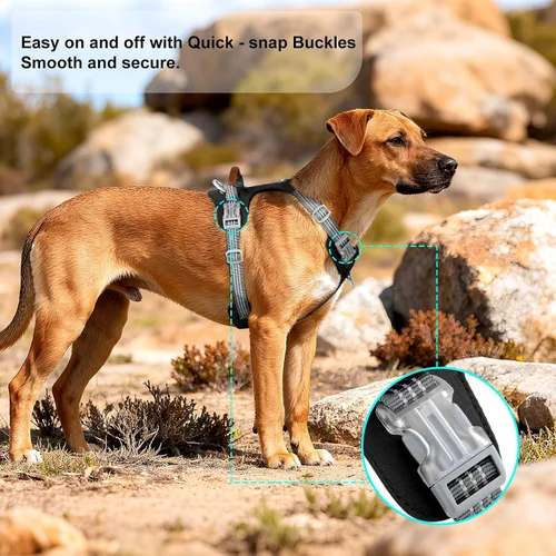 Vista 5 de Arnés para perro sin tirones – Arnés reflectante ajustable de nylon para perros pequeños, medianos y grandes, arnés de entrenamiento a prueba