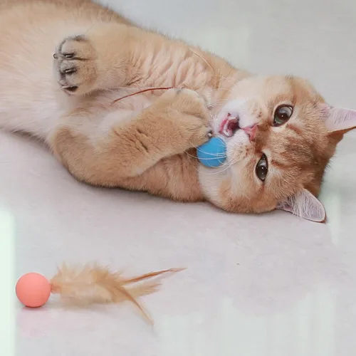 Vista 6 de Pelotas de juguete para gatos con plumas, 3 pelotas interactivas para gatos de interior y gatitos juguetones, juguetes de goma