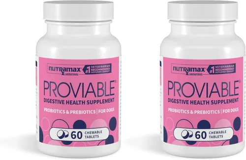 Vista 9 de Nutramax Probióticos Proviable para perros, Suplemento diario de salud digestiva con múltiples cepas de bacterias, probióticos para perros más