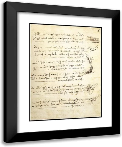 Vista 5 de ArtDirect Da Vinci, Leonardo 19x24 - Lámina enmarcada moderna negra titulada: Códice sobre el vuelo de las aves I