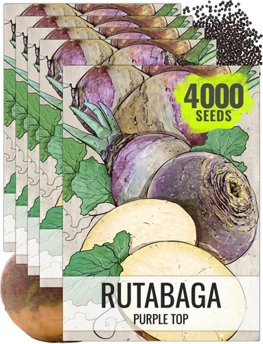 Vista 9 de Seed Needs Purple Top Rutabaga Seeds to Plant Heirloom & GMO 1 paquete