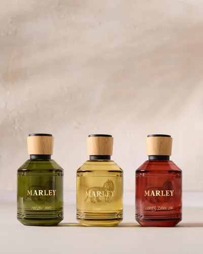 Vista 6 de Michael Malul / Marley Lights Down Low 100ml 3.4oz EDP