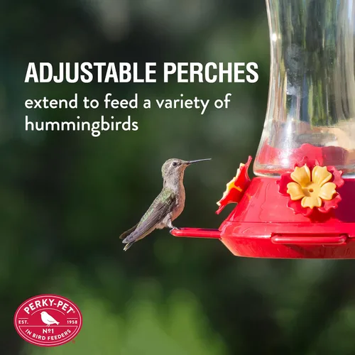 Vista 3 de Perky-Pet 476 Alimentador de colibrí de vidrio de 20 onzas