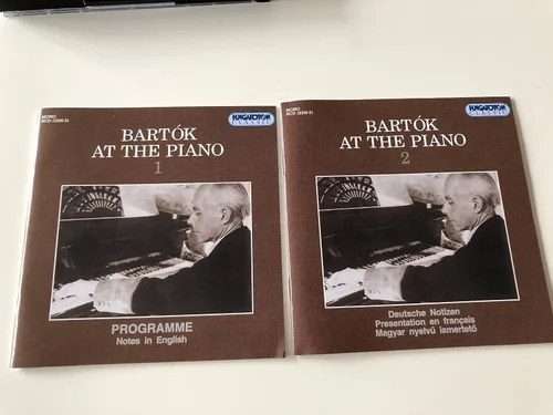 Vista 6 de Bartok en el piano