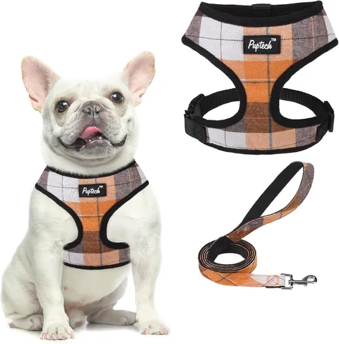 Vista 65 de PUPTECK Juego de arnés y correa de malla suave para perro, cachorro y gato, cómodo chaleco acolchado sin tirones, azul Pascua, S