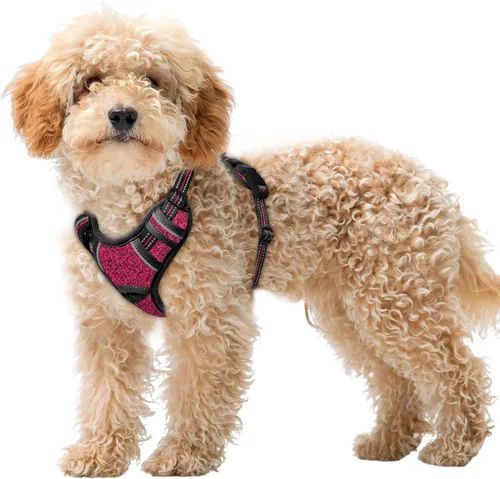 Vista 81 de BARKBAY Arnés para Perro Sin Tirones Talla Grande Arnés Reflectante para Perro con Clip Frontal y Asa de Control Fácil para Caminar Entrenar Correr