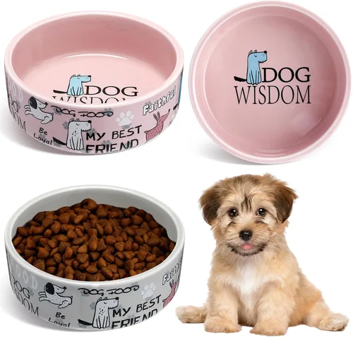 Vista 9 de Maxcheck - 2 cuencos de cerámica para perros pequeños, 5 pulgadas, color Rosa