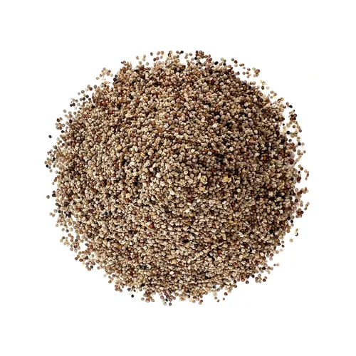 Vista 3 de Food to Live Semillas orgánicas de Kaniwa, 12 onzas, grano Canihua sin OMG, Kosher, crudo, vegano, germinable, a granel, rica en proteínas, fibra