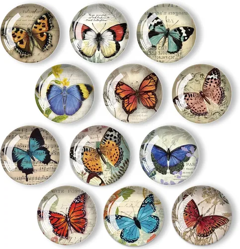 Vista 10 de 12 imanes de pájaros para refrigerador, imán redondo magnético de vidrio para decoración de nevera para taquilla, oficina escolar, pizarra blanca