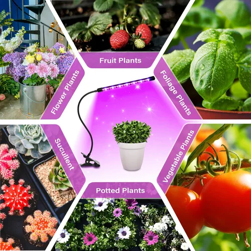 Vista 7 de iPower 21 Luz LED de Crecimiento con Espectro Completo para Plantas de Interior, Cuello de Cisne Ajustable, 3 Modos de Luz y 10 Niveles Regulables