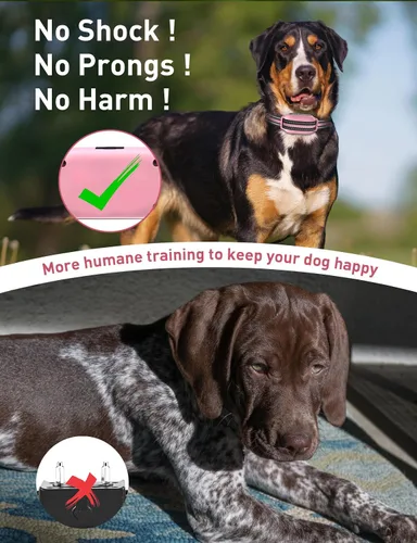 Vista 2 de Collar de Entrenamiento para Perros sin Choque, Collar de Perro con Pitido y Vibración con Control Remoto 853M, Collar de Vibración para Perros