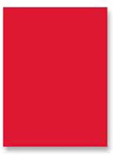 Vista 2 de Pacon Spectra Art Kraft Roll, 36" x 1000', Llama