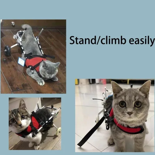 Vista 5 de Silla de ruedas ajustable para gatos, silla de ruedas para mascotas totalmente personalizable para perros y gatos pequeños con correa de pecho a