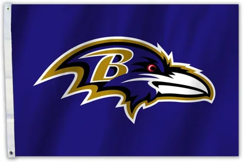 Vista 21 de Fremont Die NFL unisex 2-Sided Team Foot Flag With Grommets