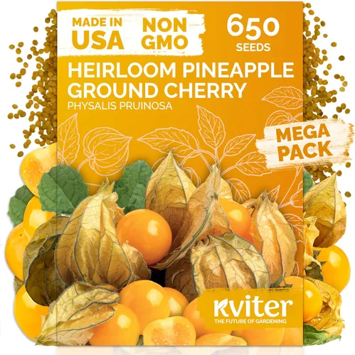 Vista 145 de 500 Ball's Orange Calendula Heirloom Flower Seeds, Calendula Officinalis