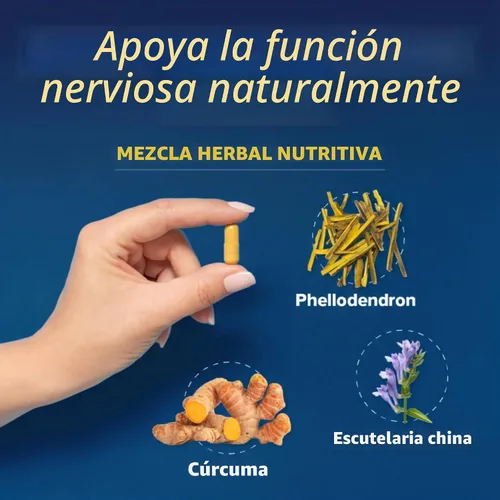 Vista 3 de Redd Remedies, Escudo nervioso, apoya la estructura nerviosa saludable, 60 cápsulas