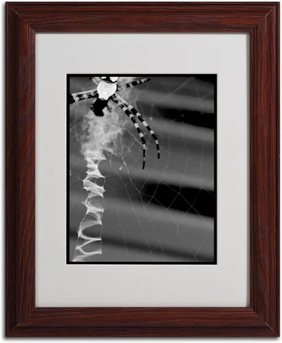 Vista 2 de Trademark Fine Art Patty Tuggle - Arte enmarcado con diseño de araña y tela en blanco y negro con marco de madera, 11 x 14 pulgadas