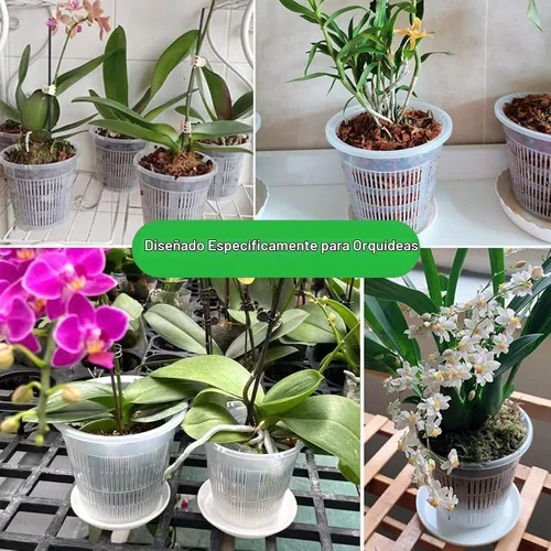 Vista 5 de Maceta de orquídeas, paquete de 6 macetas de orquídeas de 6 pulgadas