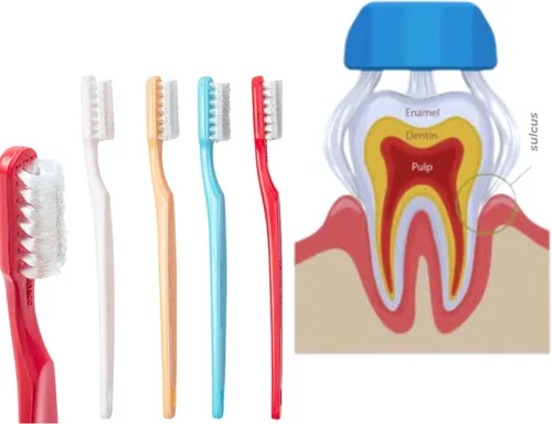 Vista 6 de Collis Curve - Cepillo de dientes suave de 3 caras - Cepillos de dientes de ortodoncia - Cepillo de dientes de cerdas suaves para encías sensibles