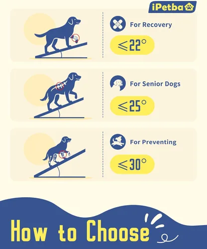 Vista 4 de Rampa para perros mejorada 2026 para cama con plataforma, apta para articulaciones, extra ancha y larga, antideslizante, resistente, hasta 200 libras