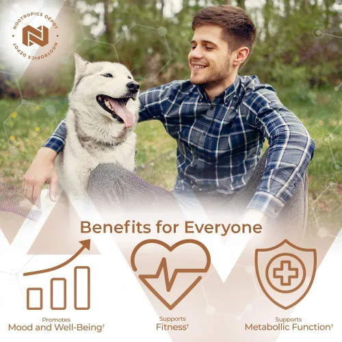 Vista 4 de Nootropics Depot Cápsulas de extracto de fenogreco 500 mg 60 ct 3% de trigonelina, 1% de protodioscina Trigonella foenum-graecum Estado