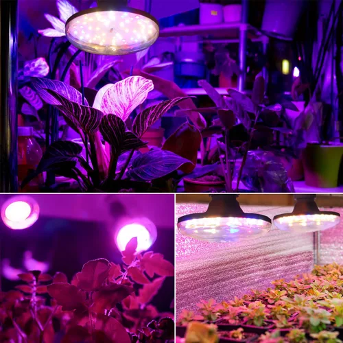 Vista 5 de Luces LED de cultivo para plantas de interior, lámpara de cultivo de plantas de espectro completo, E26/E27 10W luz de crecimiento, luz