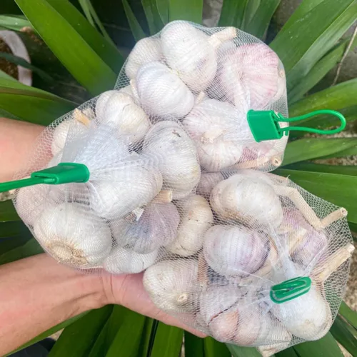 Vista 6 de 1 Libra de Ajo Duro de Cuello para Plantar en Otoño, Bulbo de Ajo Grande para Plantar, Fresco y Alta Rendimiento, Resistente al Frío, Plantación