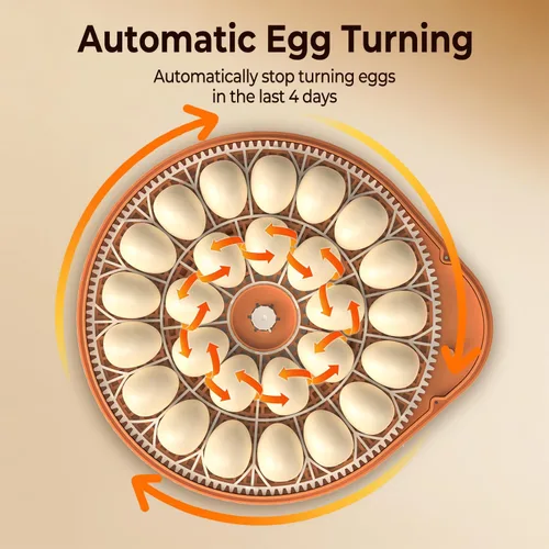 Vista 5 de Incubadoras para incubar huevos con asistente de voz inteligente, incubadora de 26 huevos con girador automático de huevos y control de humedad