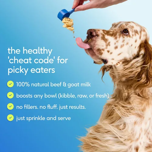 Vista 10 de Native Pet Vitaminas y Suplementos para Perros - Polvo de Vitaminas 11-en-1 para Complemento de Comida de Perro - Colágeno, Glucosamina