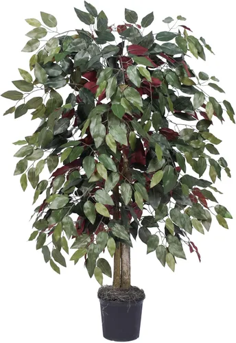 Vista 6 de Vickerman Arbusto artificial Capensia Ficus de 4', contenedor de plástico marrón.