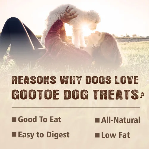 Vista 3 de Gootoe - Golosinas para perros, con alto contenido de proteínas, pechuga de pollo, 1 libra