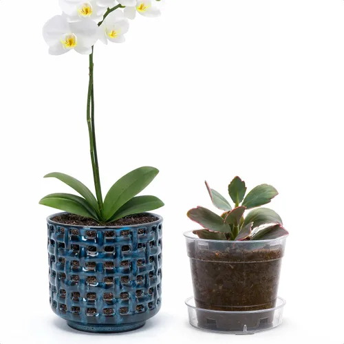 Vista 11 de D'vine Dev Orchid Pot, Clear Pot & Saucer, Smoked White, 6.7 in, 28-A-Y-1 Blanco ahumado