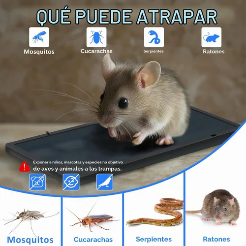 Vista 2 de Landisun Trampas de pegamento para ratas de ratón para interior para el hogar, ratones de serpiente, control de plagas de araña