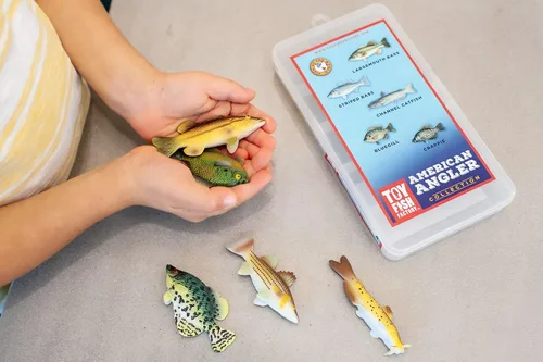 Vista 6 de Toy Fish Factory American Angler Collection - Juego de peces de juguete, figuras de peces de juguete, pez gato de lobina grande, juguete educativo