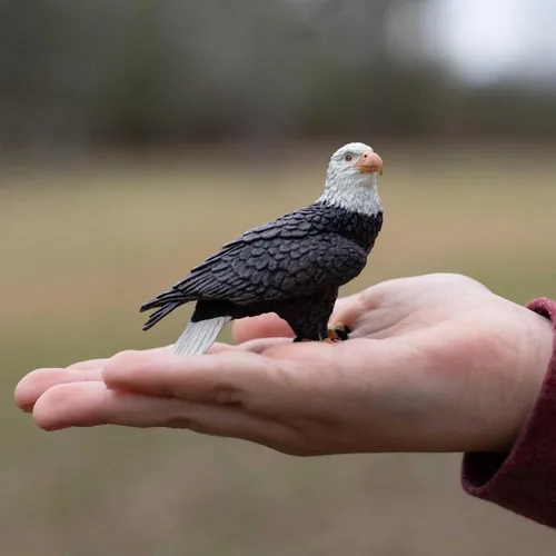 Vista 2 de Safari Ltd. Figura de águila calva - Figura de ave realista de 6 cm - Juguete educativo para niños, niñas y niños de 3 años en adelante