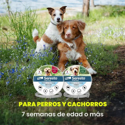 Vista 7 de Seresto Collars for Large Dog Over 18 lbs. & Small Dog Under 18 lbs Vet-Recommended For Flea & Tick Treatment & Prevention 8 Months Protection Each