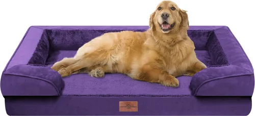 Vista 174 de Comfort Expression - Cama ortopédica para perros medianos, 28 x 19 pulgadas, cama impermeable y de apoyo de espuma con cojines removibles, sofá