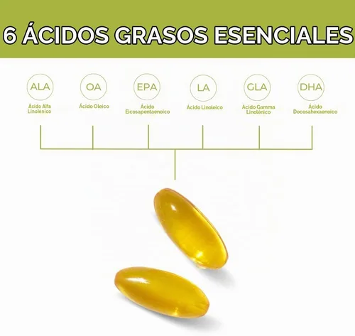 Vista 5 de Youngevity EFA Plus Omega 3 6 9 Fish, Flax & Borage Oil, 90 Caps, 4 Pack