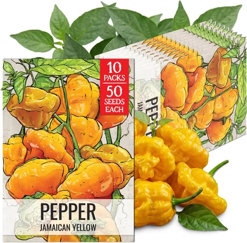 Vista 24 de Seed Needs - Semillas de pimiento arcoíris para plantar verduras, 1 paquete