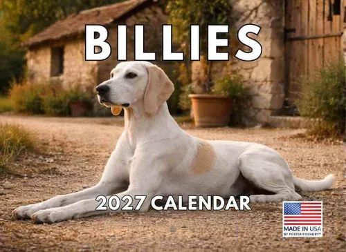 Vista 16 de Calendario mensual de pared Airedale Terrier Dog 2027