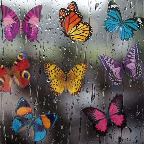 Vista 5 de Outus 40 calcomanías de mariposa para ventana de vidrio, mariposas, adhesivos anticolisión, decoración de primavera para evitar que personas