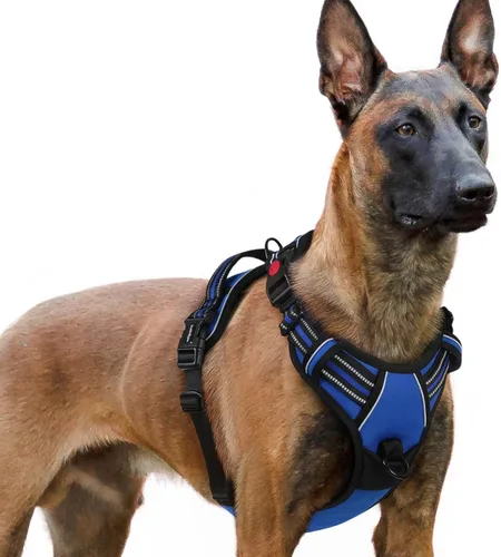 Vista 66 de Rabbitgoo - Arnés para perro de tamaño pequeño, actualizado, fácil de poner y quitar con 3 hebillas Sin tirones, sin estrangulamiento, caminar