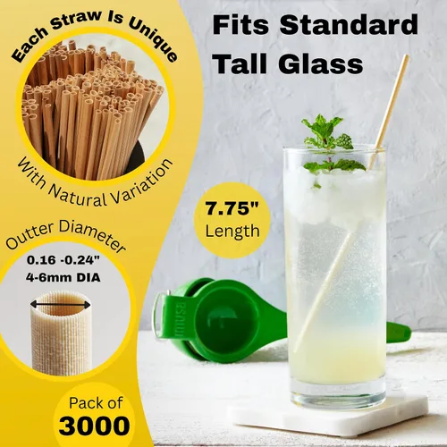 Vista 2 de HAY! Straws Pajitas regulares de 7.75 pulgadas 3000 unidades 100% biodegradables y compostables Duraderas, no se empañan, sin gluten