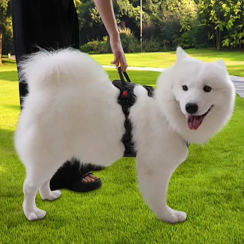 Vista 6 de Gimilife Arnés para perro, chaleco reflectante ajustable para perro, arnés sin tirones con insignia y corbatín para cachorros, perros pequeños