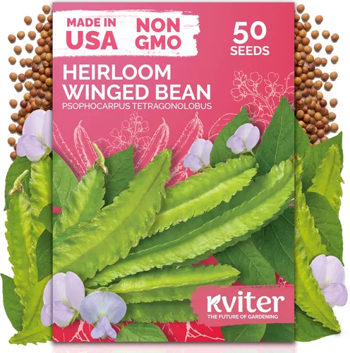 Vista 24 de KVITER 3000 semillas de espinaca egipcias - Molokhia (Corchorus Olitorius) - Hojas de yute, Ewedu, Día de Rau, Semillas de vegetales Saluyot