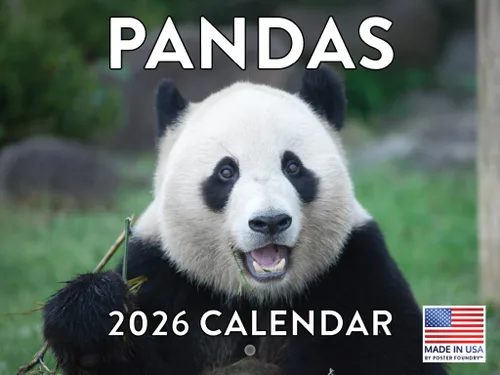 Vista 52 de Calendario mensual de pared de alpaca 2025 Fabricado en Estados Unidos