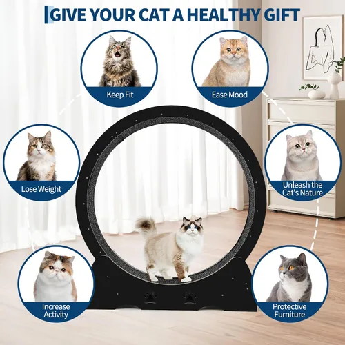 Vista 7 de Cat Exercise Wheel Wooden Running Treadmill with Carpeted Runway for Indoor Black