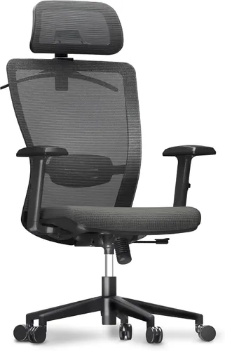Vista 9 de FLEXISPOT Silla de oficina ergonómica clásica con respaldo alto, silla giratoria para computadora, sillas de escritorio ejecutivas, con soporte Gris